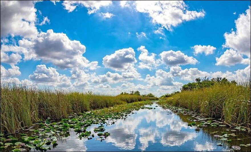 Taxi service to Everglades attractions from Naples FL