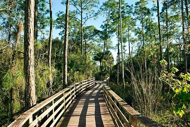 Reliable taxi pickup service from Everglades tour areas